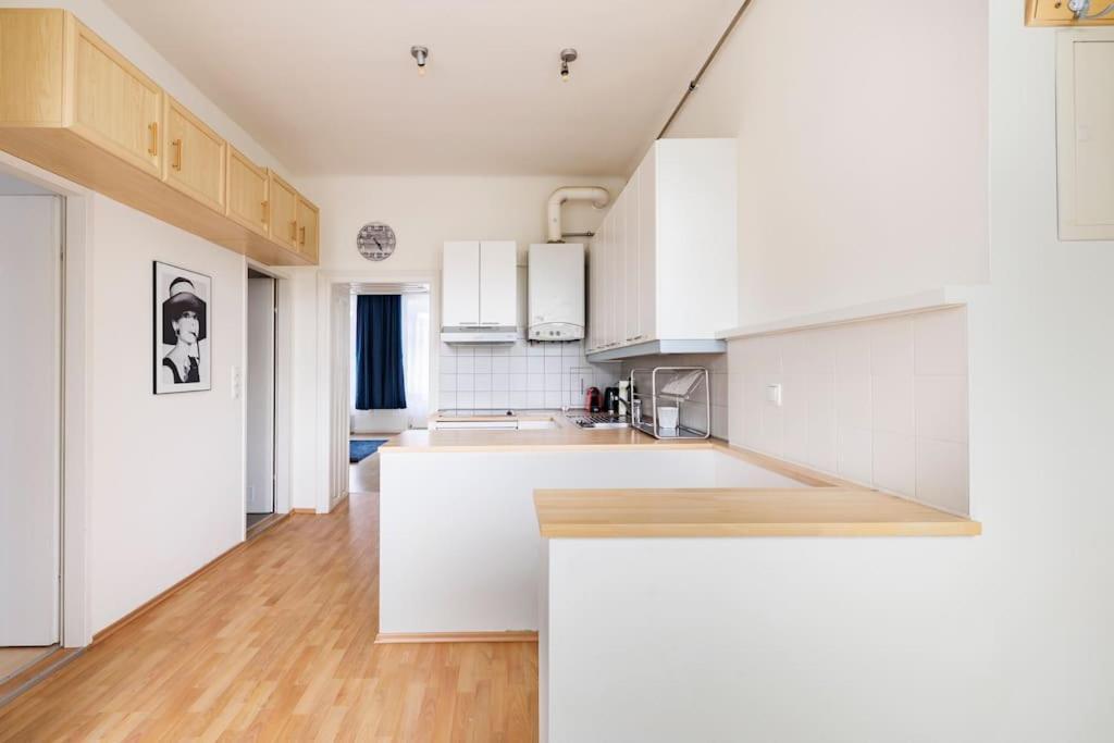 Beautiful 1 Bedroom Apartment Near Schoenbrunn 비엔나 외부 사진